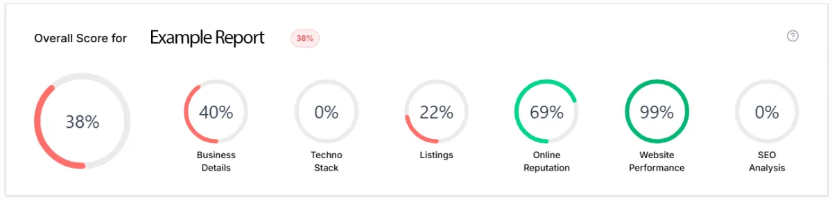 Marketing audit overall score breakdown with category ratings