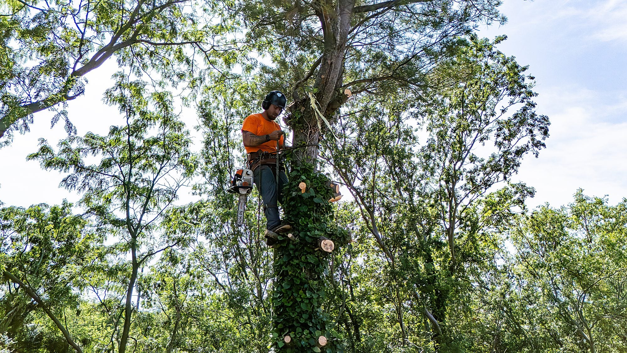 Climber topping out against a blue sky