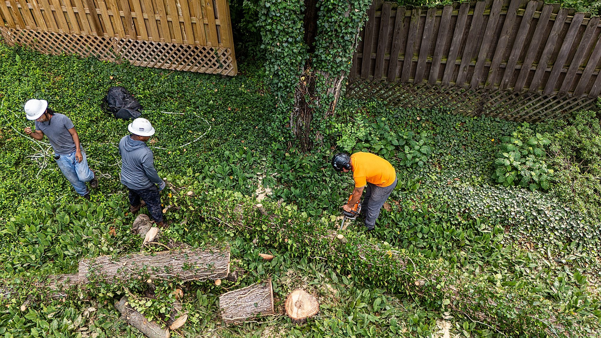 Ground crew clearing branches