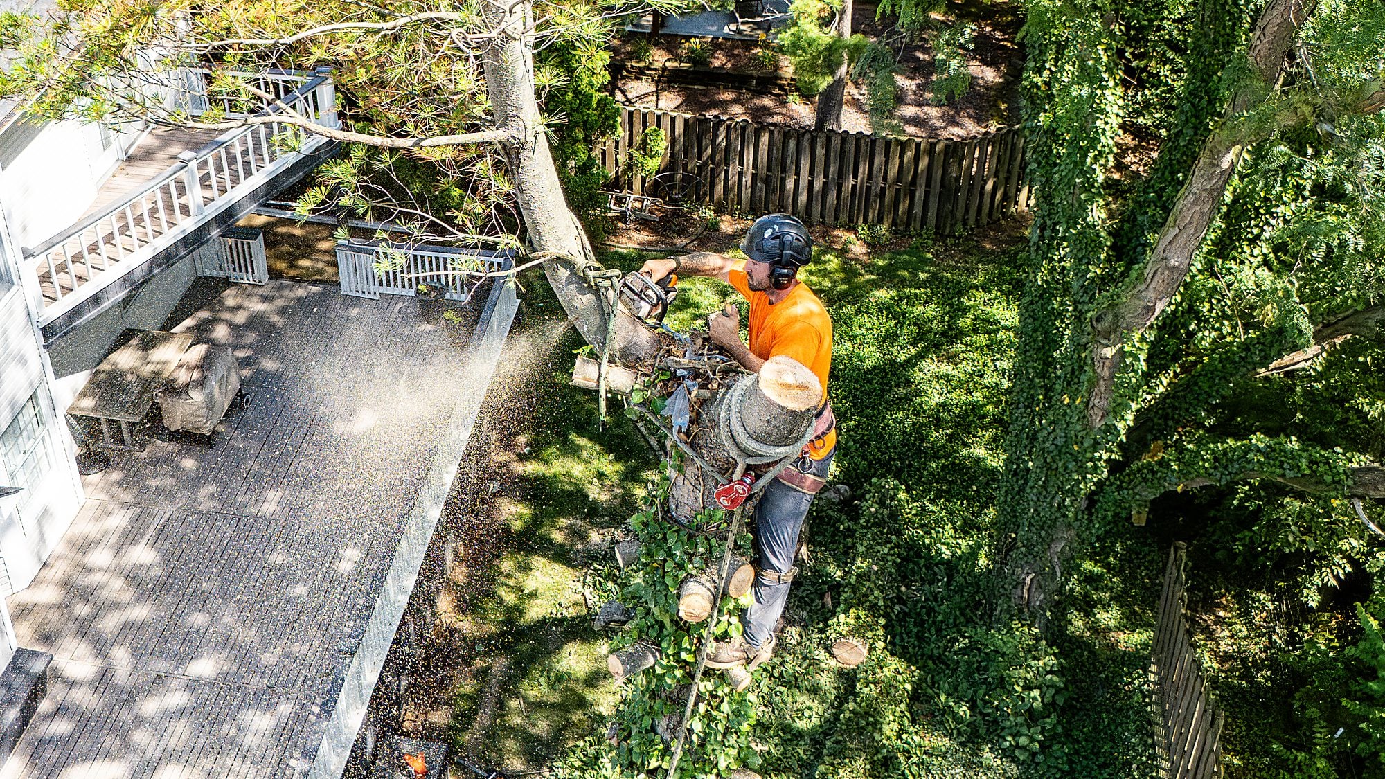 Cut log sections on a tarp