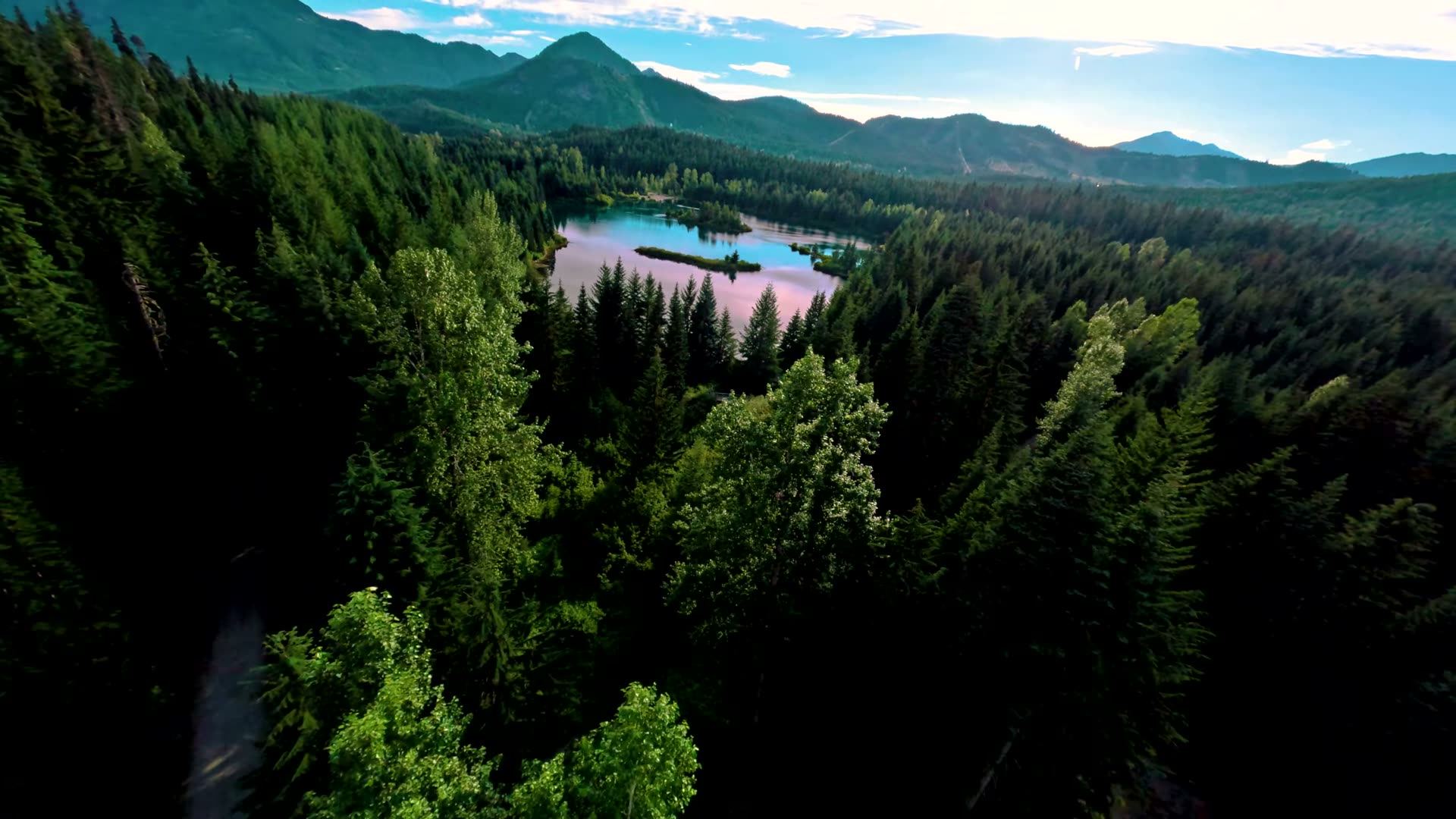 The wooded island in the middle of Gold Creek Pond photographed from above in summer