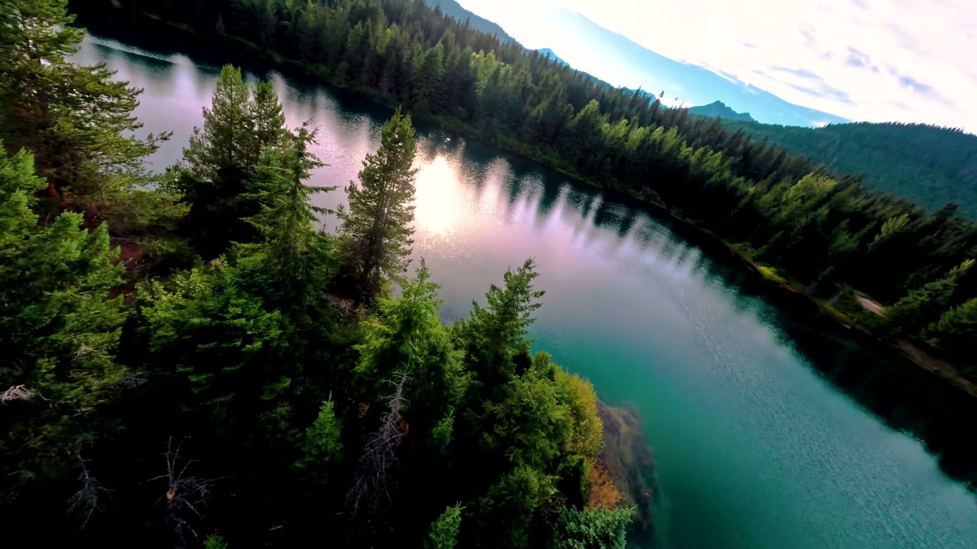 Evergreen trees along the Gold Creek Pond shoreline from a drone