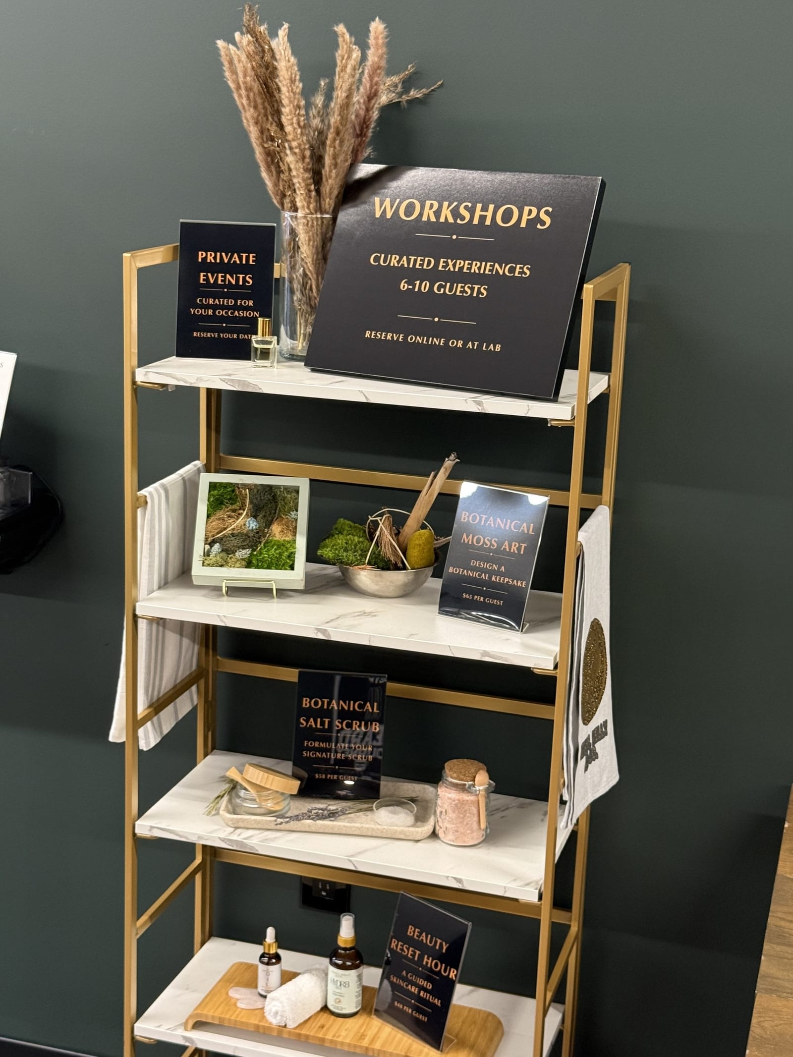 Botanical Moss Art workshop display shelf for private events at the Lifestyle & Beauty LAB in Jacksonville IL