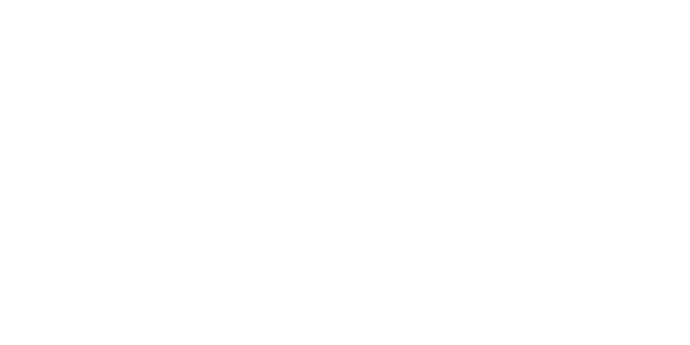 Jacksonville Iron logo